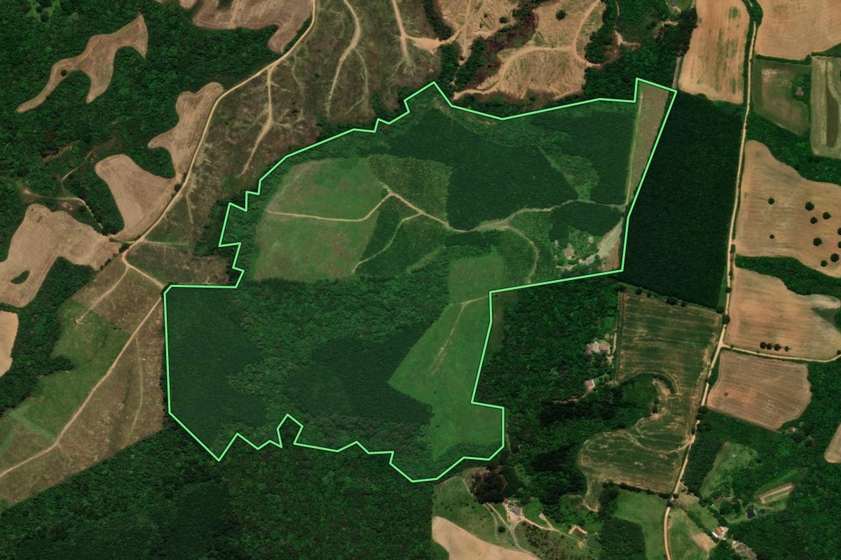 Imagem de satélite do imóvel rural em Tijucas do Sul (PR), com o contorno declarado no CAR desenhado por cima.