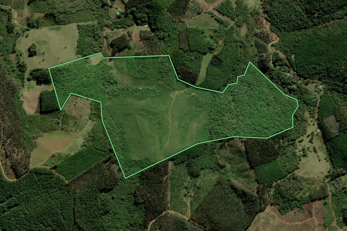Imagem de satélite do imóvel rural em Tijucas do Sul (PR), com o contorno declarado no CAR desenhado por cima.
