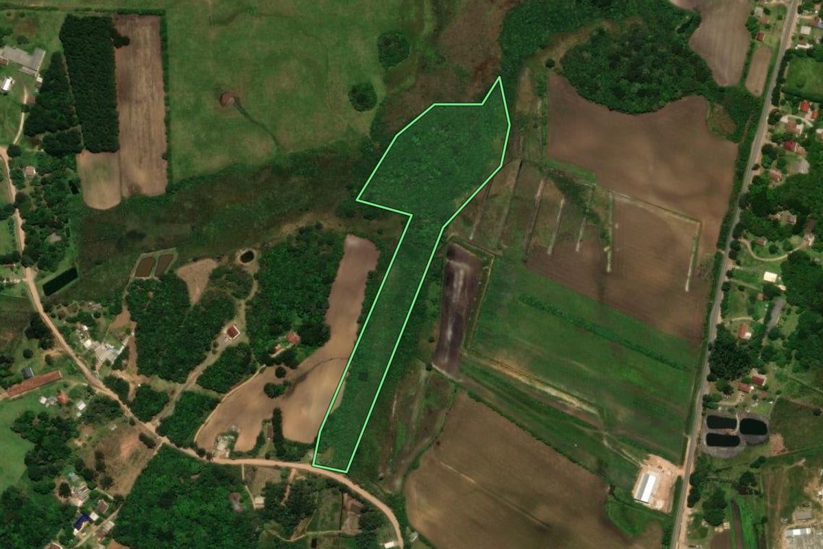 Imagem de satélite do imóvel rural em Tijucas do Sul (PR), com o contorno declarado no CAR desenhado por cima.