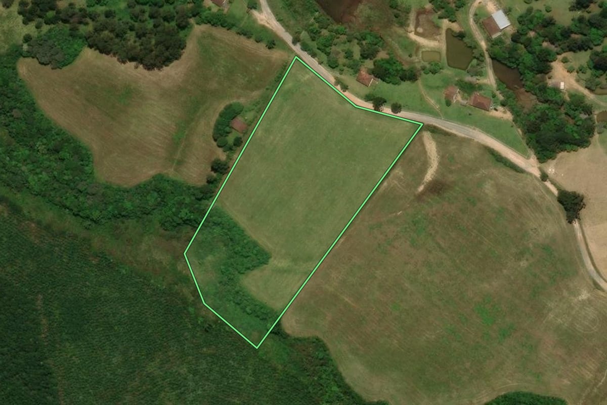 Imagem de satélite do imóvel rural em Tijucas do Sul (PR), com o contorno declarado no CAR desenhado por cima.