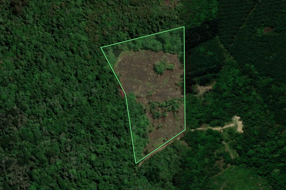 Imagem de satélite do imóvel rural em Tijucas do Sul (PR), com o contorno declarado no CAR desenhado por cima.