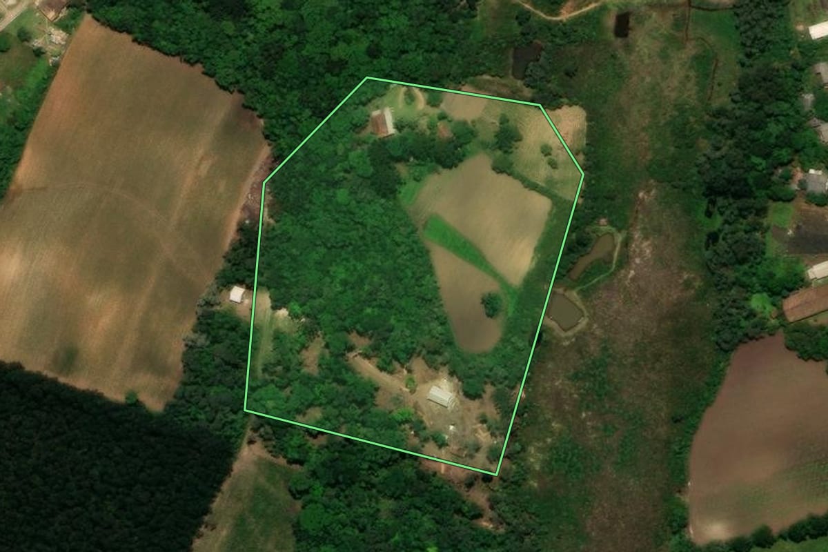Imagem de satélite do imóvel rural em Tijucas do Sul (PR), com o contorno declarado no CAR desenhado por cima.