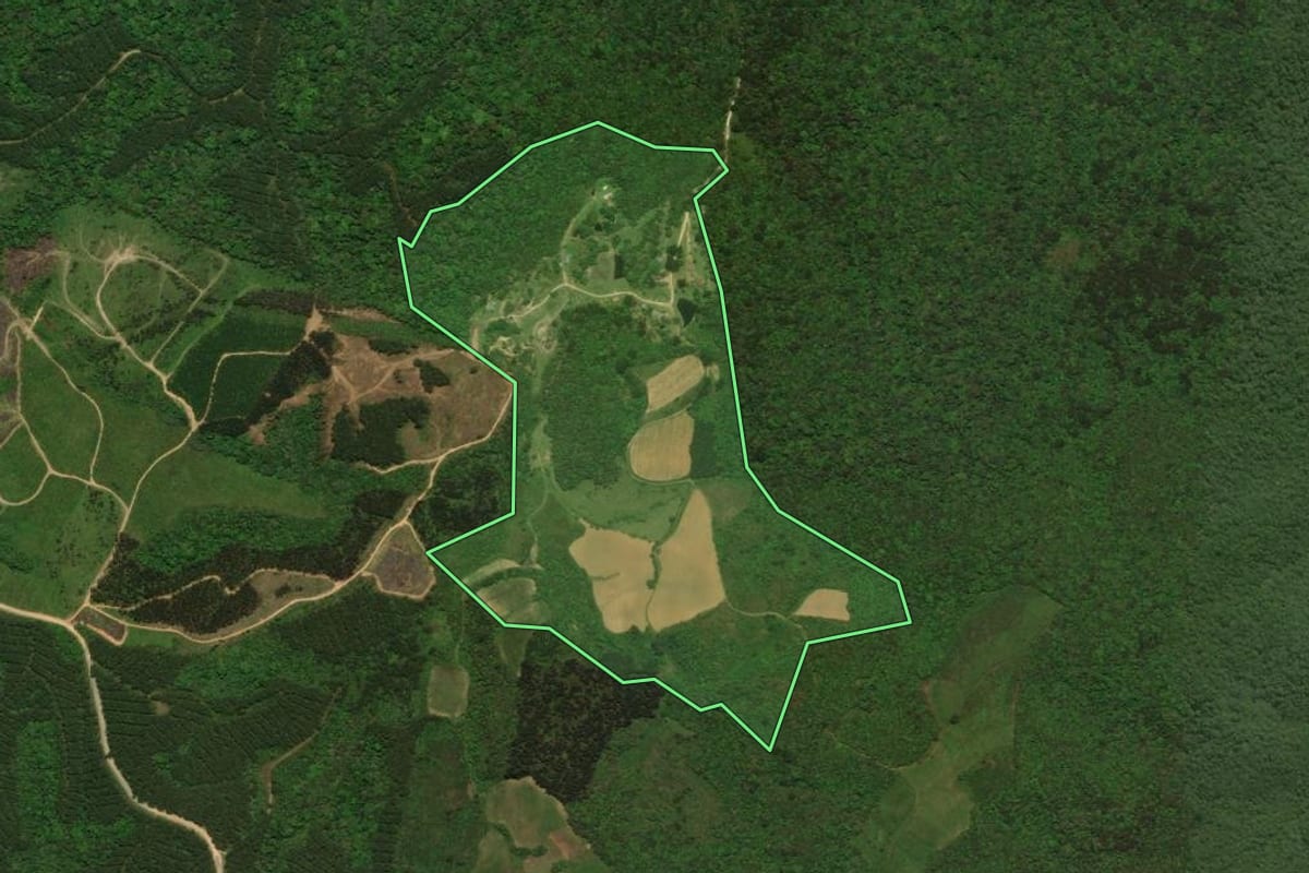 Imagem de satélite do imóvel rural em Tijucas do Sul (PR), com o contorno declarado no CAR desenhado por cima.