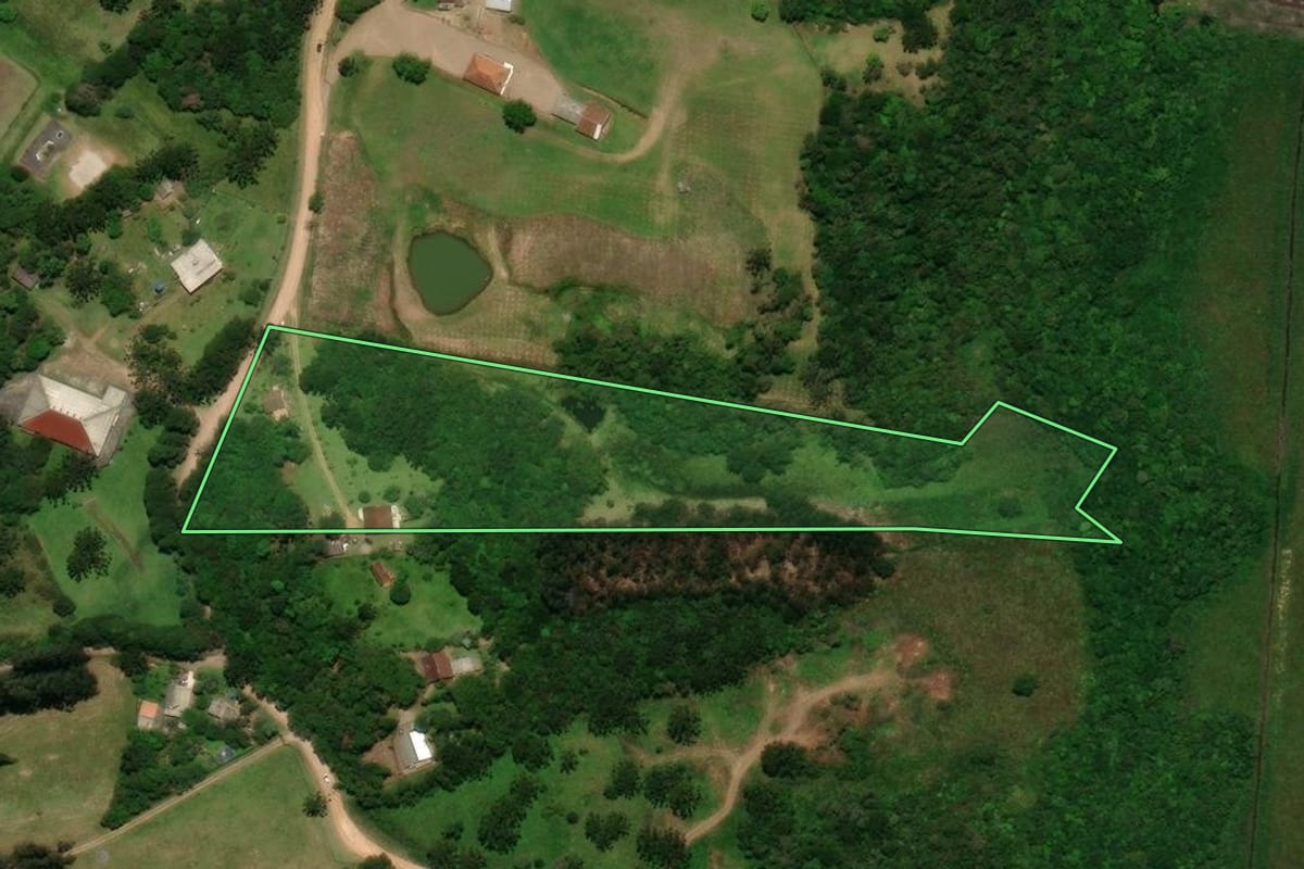 Imagem de satélite do imóvel rural em Tijucas do Sul (PR), com o contorno declarado no CAR desenhado por cima.