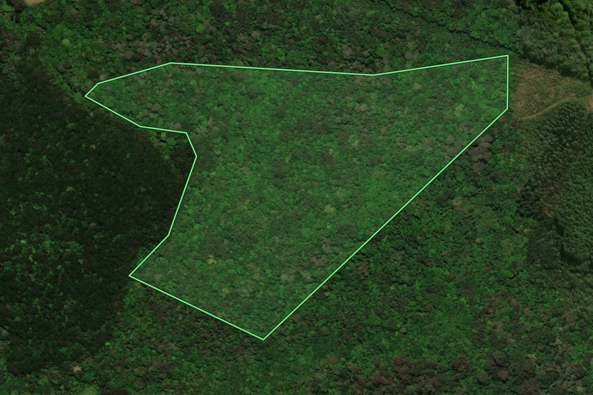 Imagem de satélite do imóvel rural em Tijucas do Sul (PR), com o contorno declarado no CAR desenhado por cima.