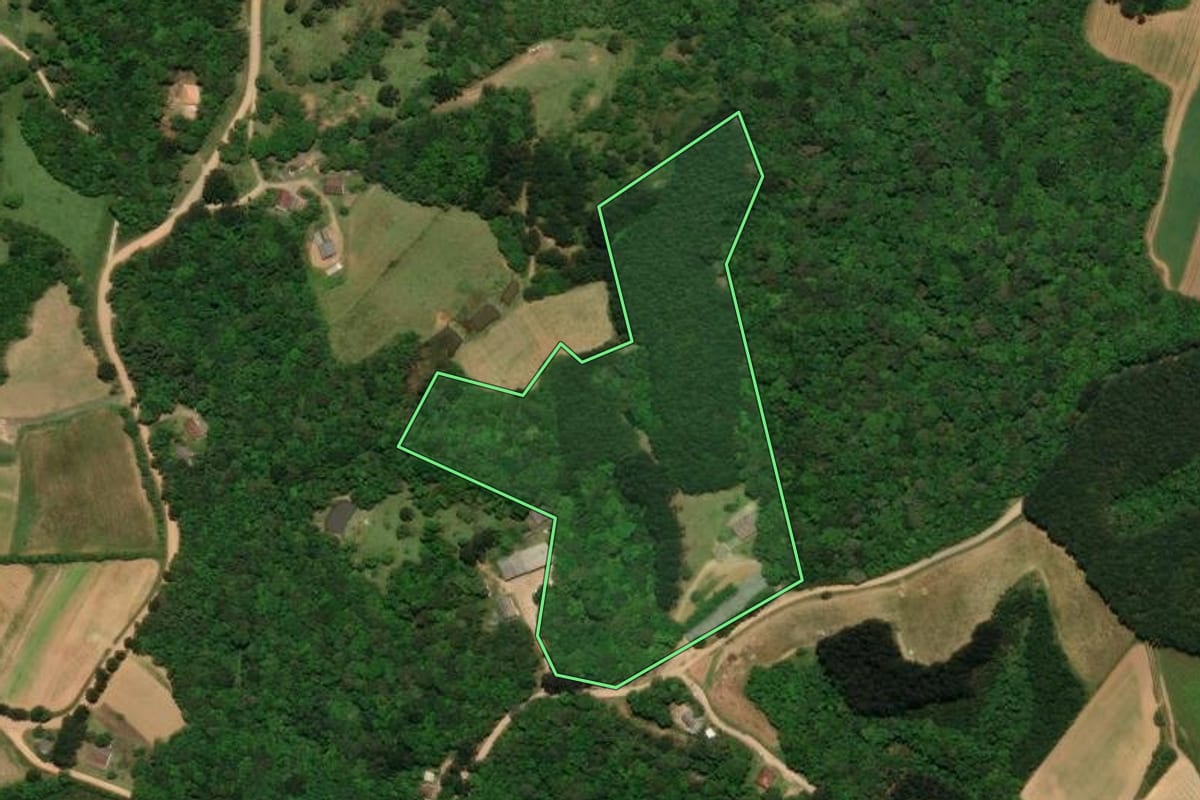 Imagem de satélite do imóvel rural em Tijucas do Sul (PR), com o contorno declarado no CAR desenhado por cima.