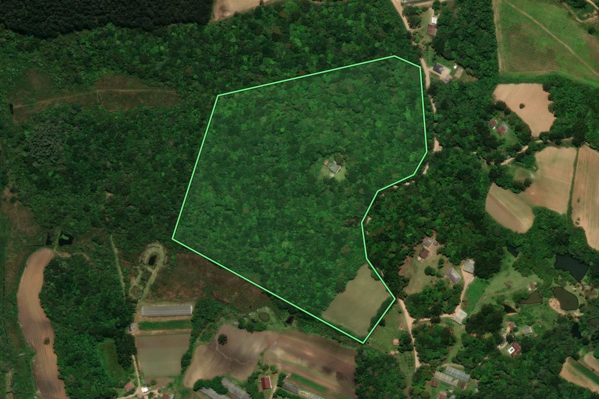 Imagem de satélite do imóvel rural em Tijucas do Sul (PR), com o contorno declarado no CAR desenhado por cima.