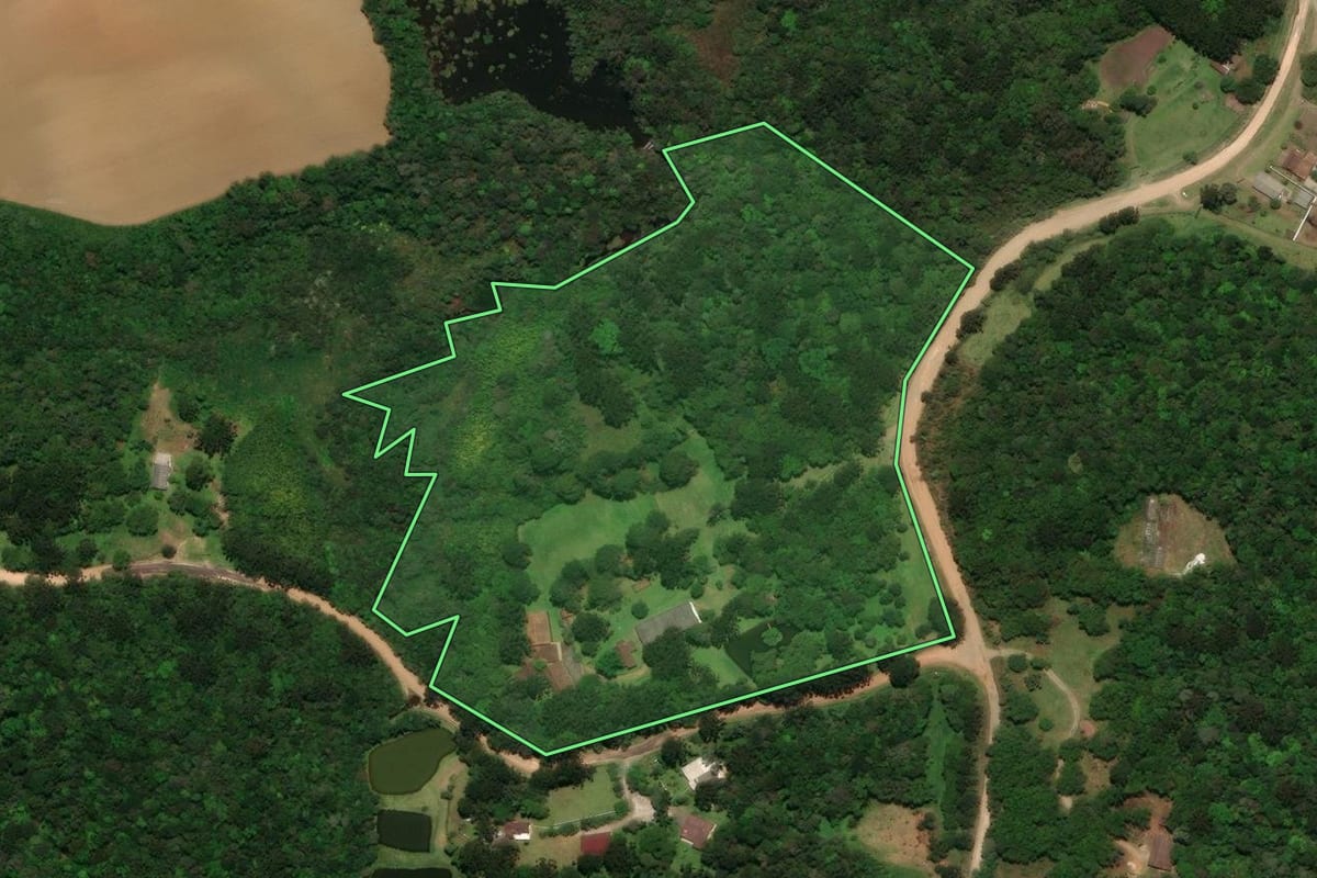 Imagem de satélite do imóvel rural em Tijucas do Sul (PR), com o contorno declarado no CAR desenhado por cima.