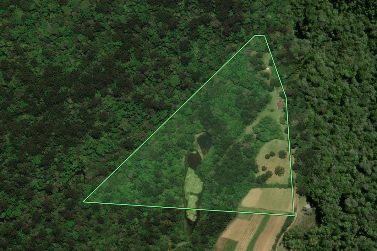 Imagem de satélite do imóvel rural em Tijucas do Sul (PR), com o contorno declarado no CAR desenhado por cima.