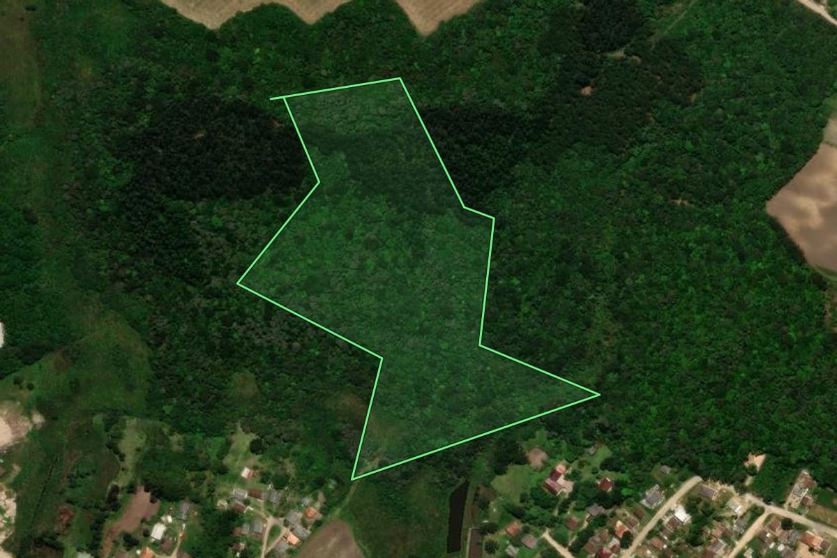 Imagem de satélite do imóvel rural em Tijucas do Sul (PR), com o contorno declarado no CAR desenhado por cima.