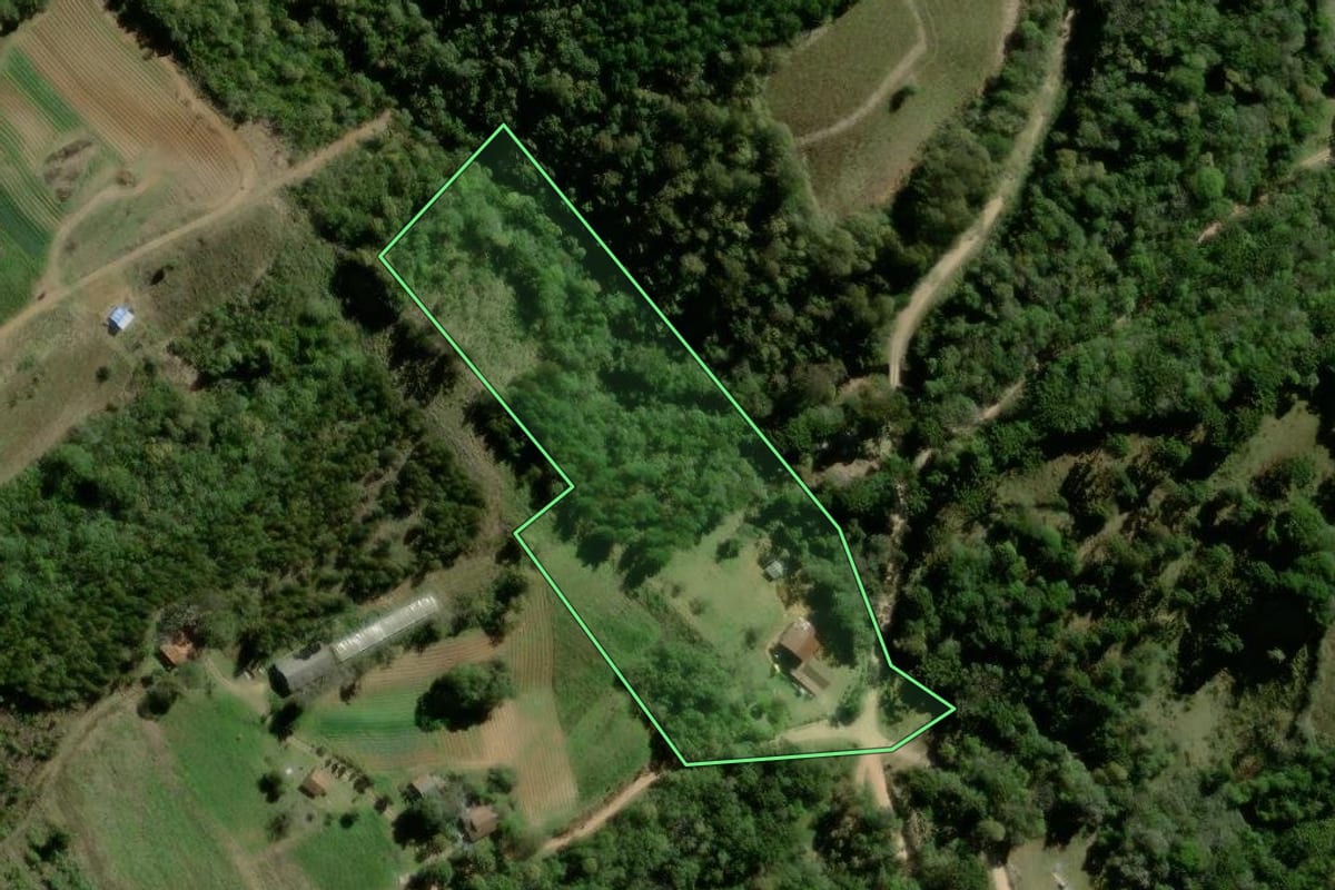 Imagem de satélite do imóvel rural em Tijucas do Sul (PR), com o contorno declarado no CAR desenhado por cima.