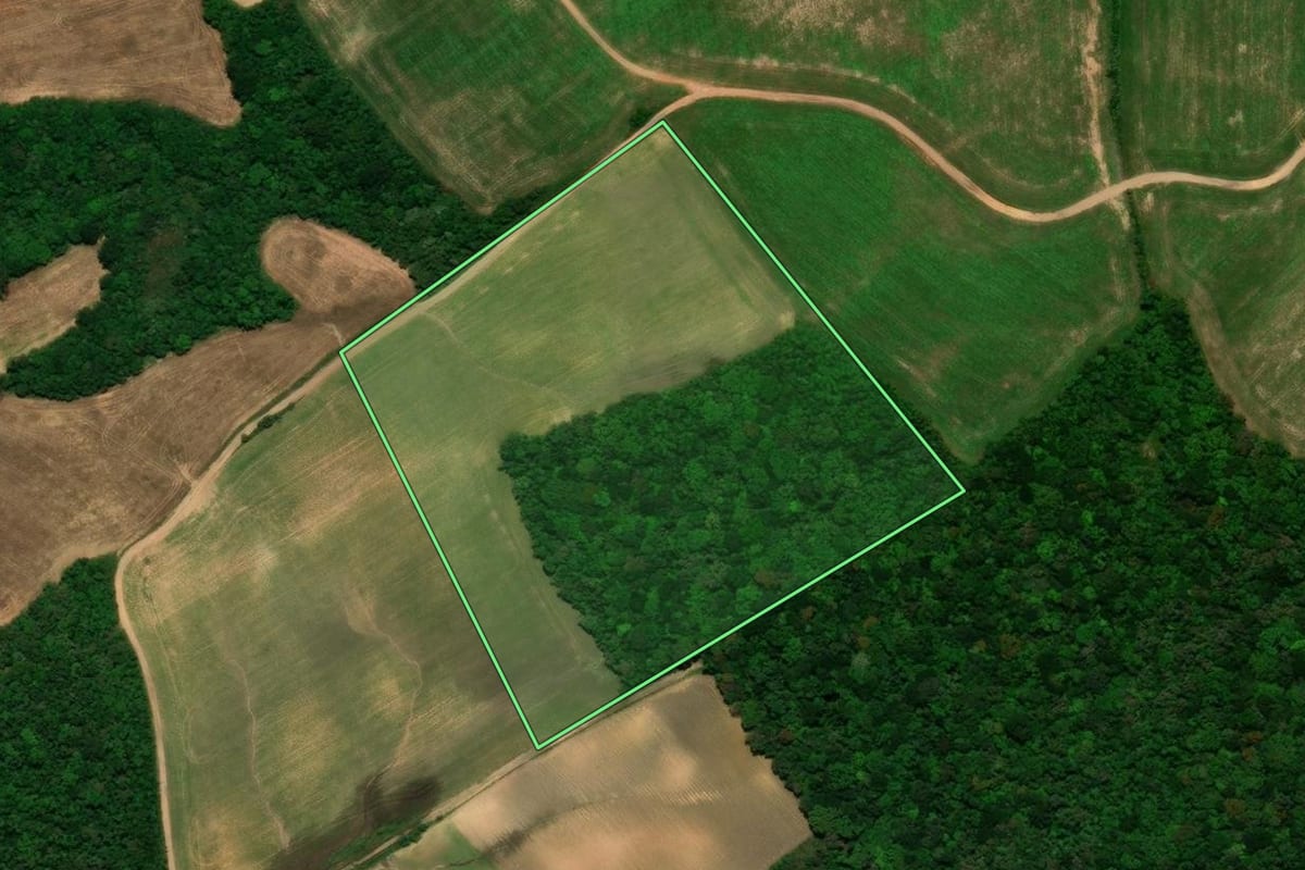 Imagem de satélite do imóvel rural em Tijucas do Sul (PR), com o contorno declarado no CAR desenhado por cima.