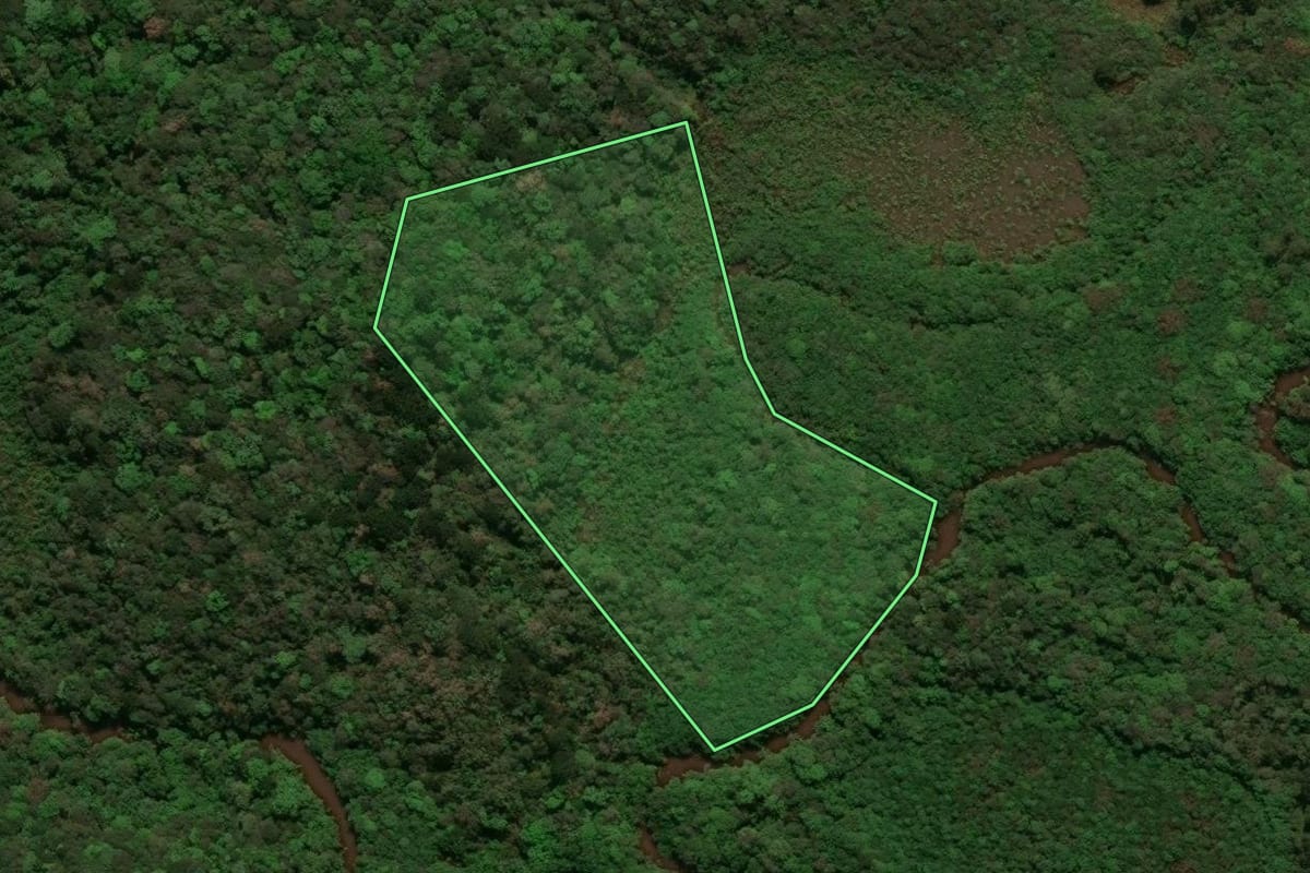 Imagem de satélite do imóvel rural em Tijucas do Sul (PR), com o contorno declarado no CAR desenhado por cima.