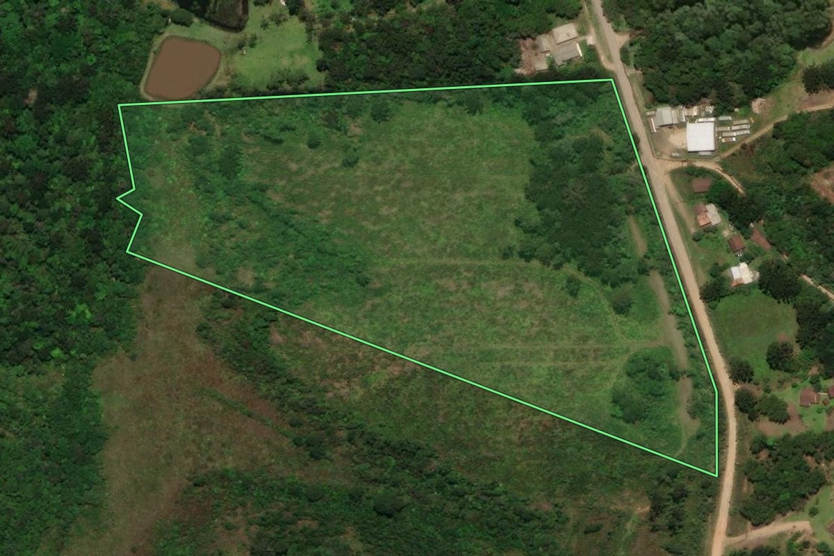 Imagem de satélite do imóvel rural em Tijucas do Sul (PR), com o contorno declarado no CAR desenhado por cima.