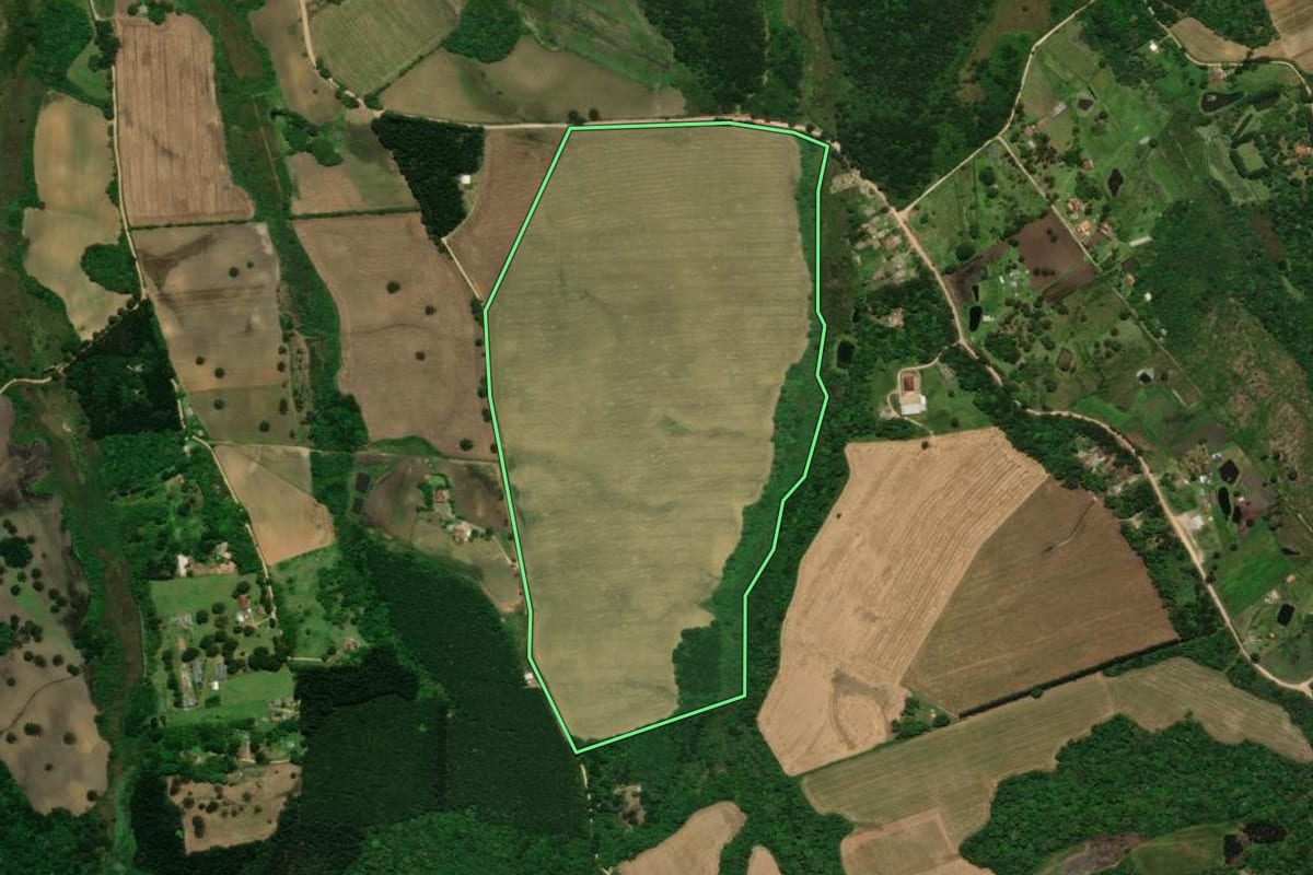 Imagem de satélite do imóvel rural em Tijucas do Sul (PR), com o contorno declarado no CAR desenhado por cima.