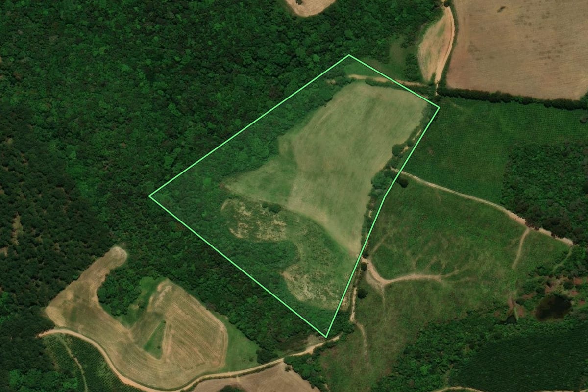 Imagem de satélite do imóvel rural em Tijucas do Sul (PR), com o contorno declarado no CAR desenhado por cima.