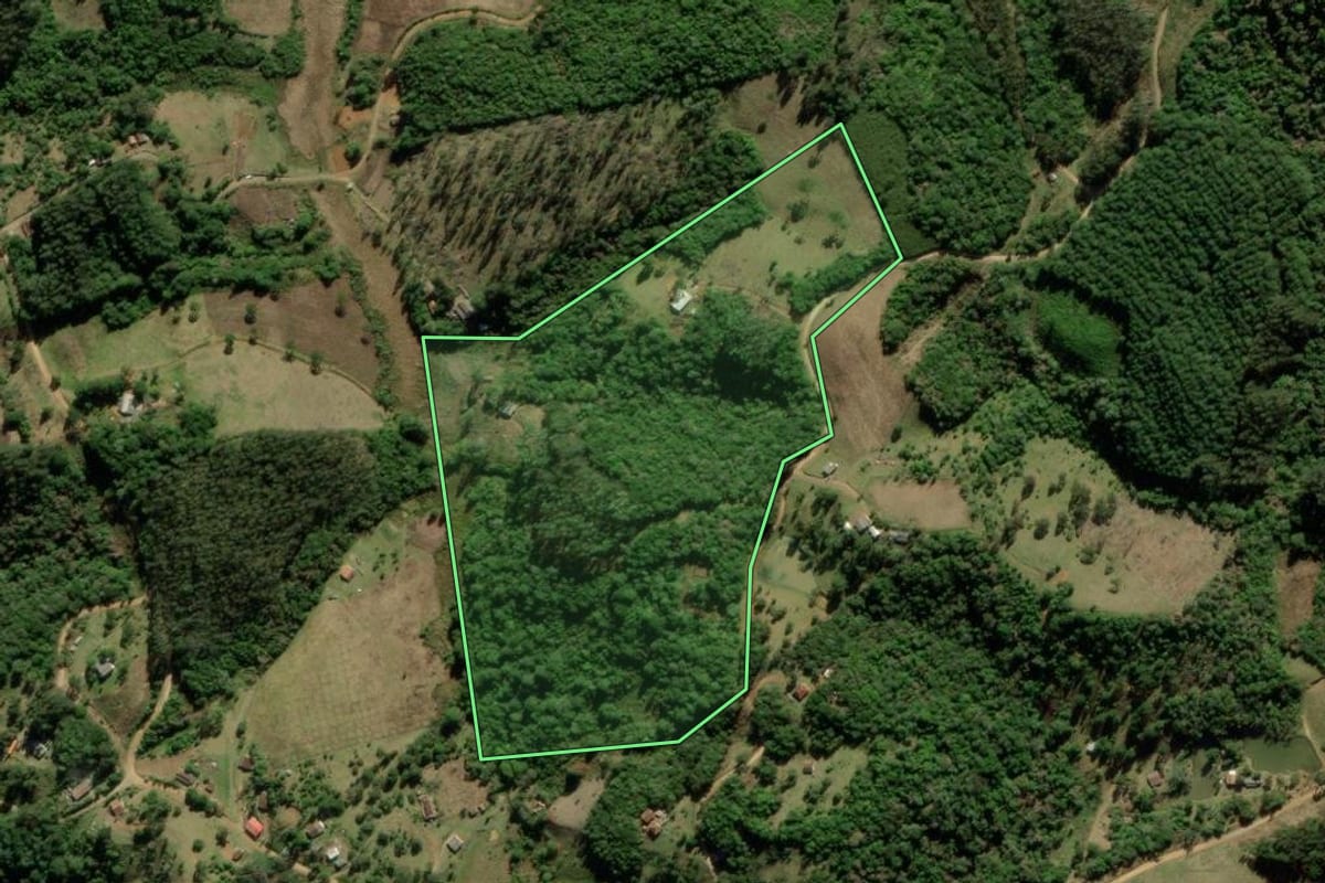Imagem de satélite do imóvel rural em Tijucas do Sul (PR), com o contorno declarado no CAR desenhado por cima.