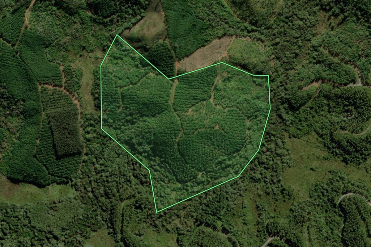Imagem de satélite do imóvel rural em Tijucas do Sul (PR), com o contorno declarado no CAR desenhado por cima.