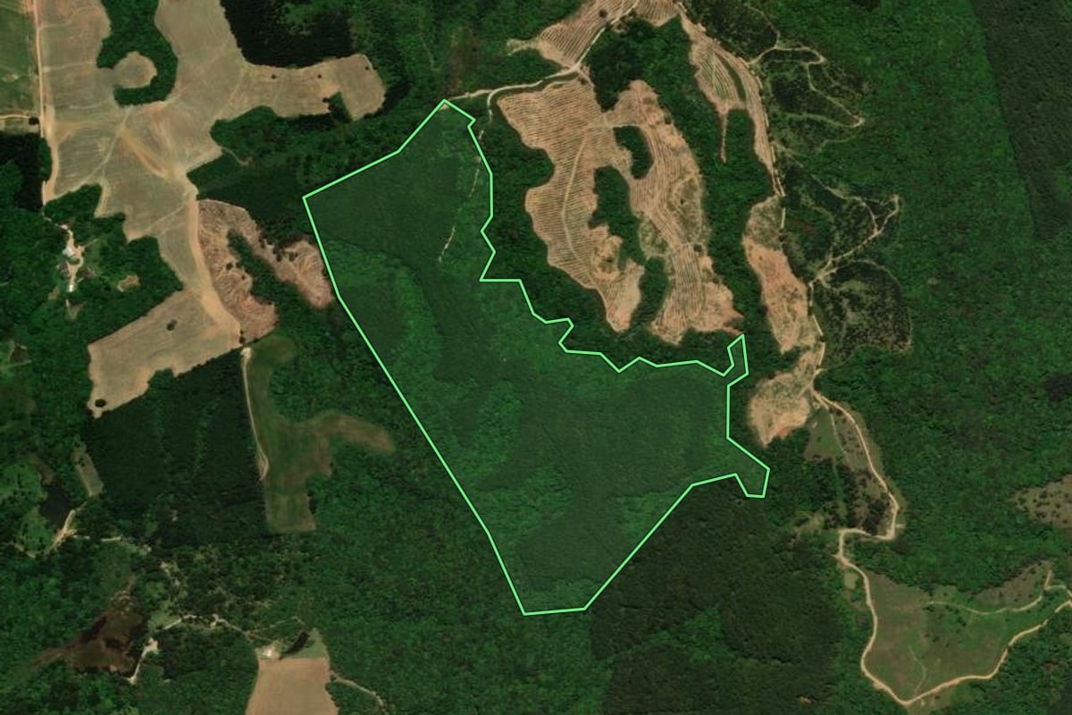 Imagem de satélite do imóvel rural em Tijucas do Sul (PR), com o contorno declarado no CAR desenhado por cima.