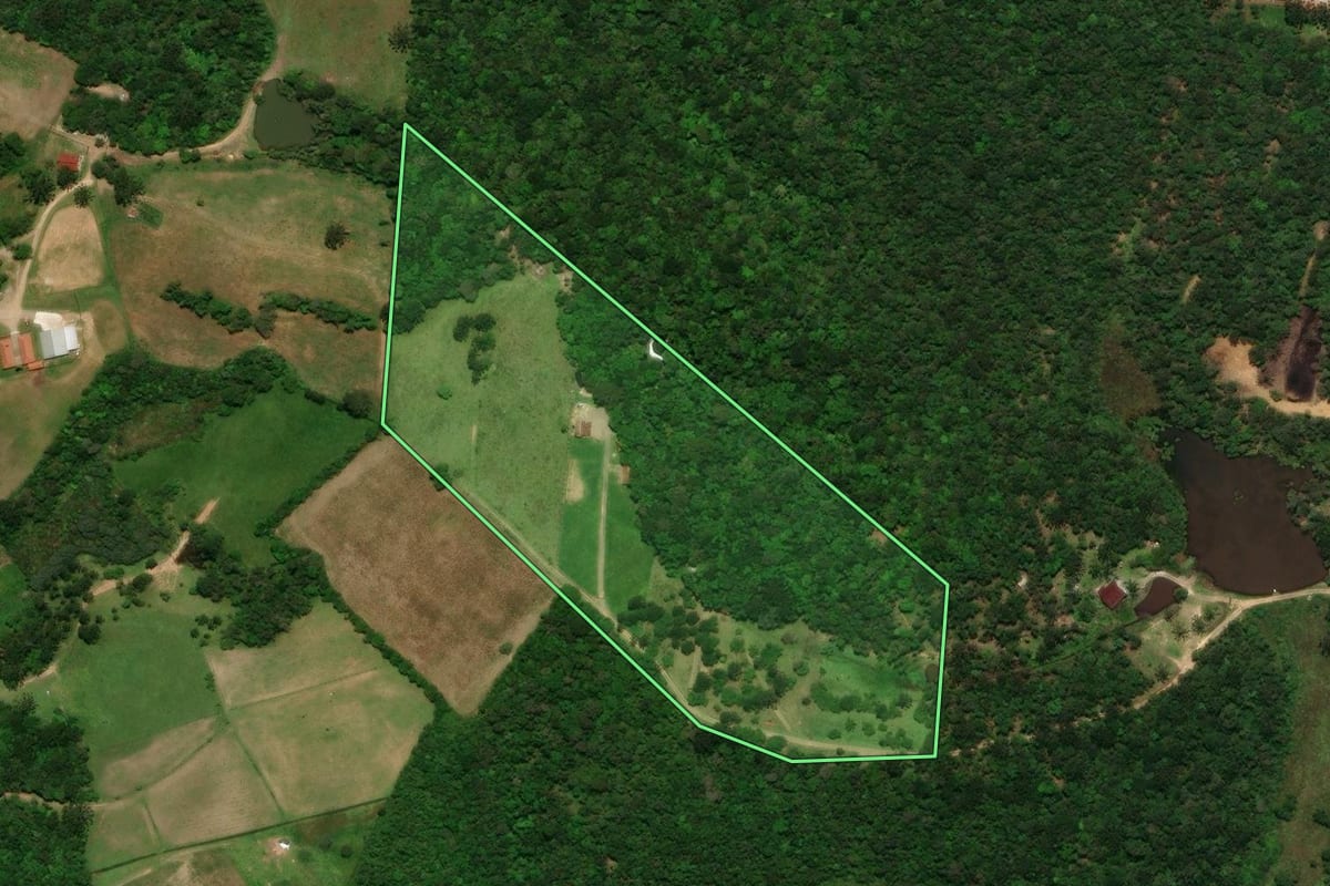 Imagem de satélite do imóvel rural em Tijucas do Sul (PR), com o contorno declarado no CAR desenhado por cima.