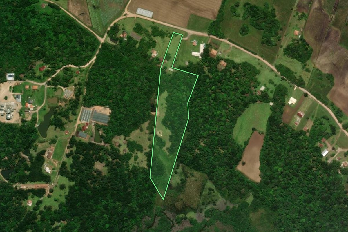 Imagem de satélite do imóvel rural em Tijucas do Sul (PR), com o contorno declarado no CAR desenhado por cima.