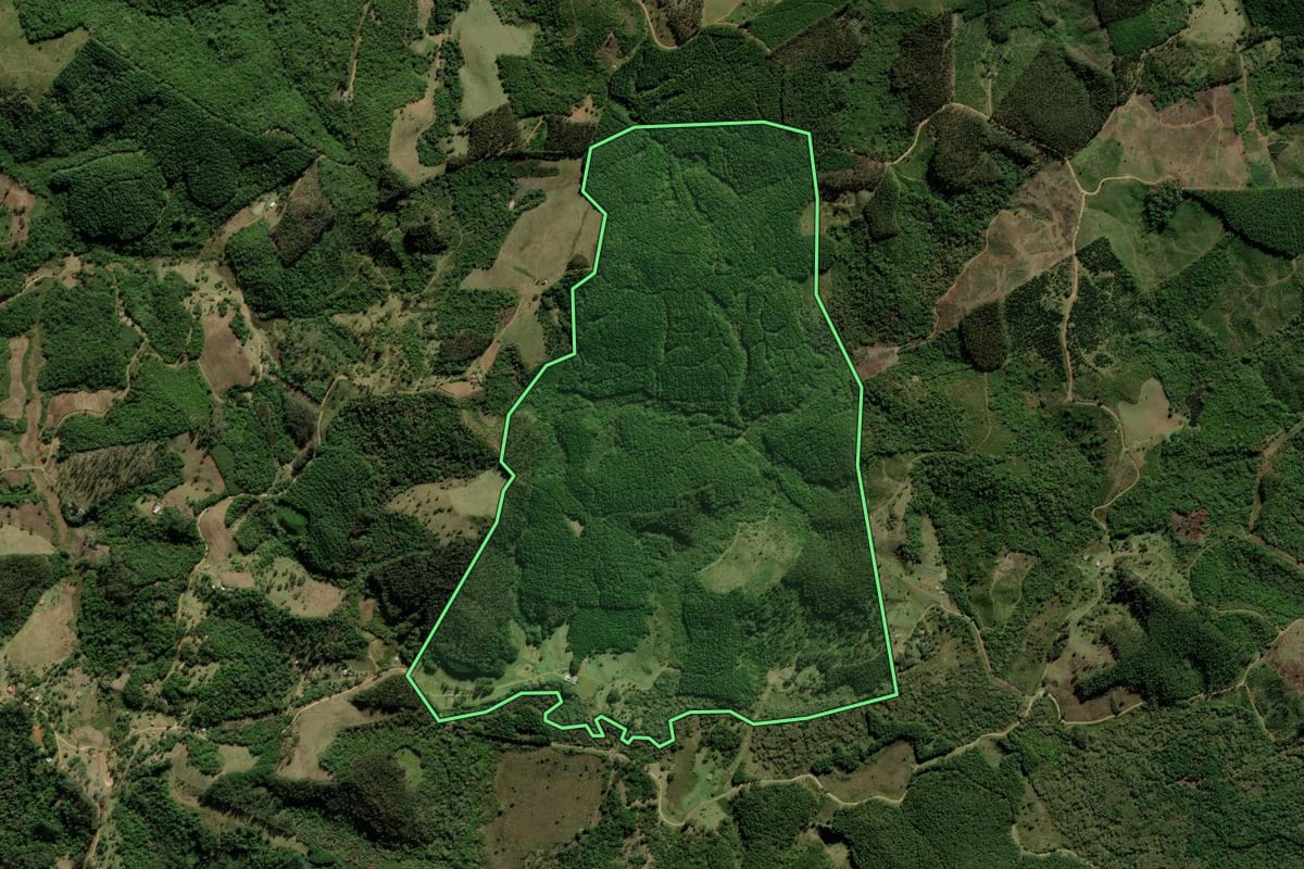 Imagem de satélite do imóvel rural em Tijucas do Sul (PR), com o contorno declarado no CAR desenhado por cima.