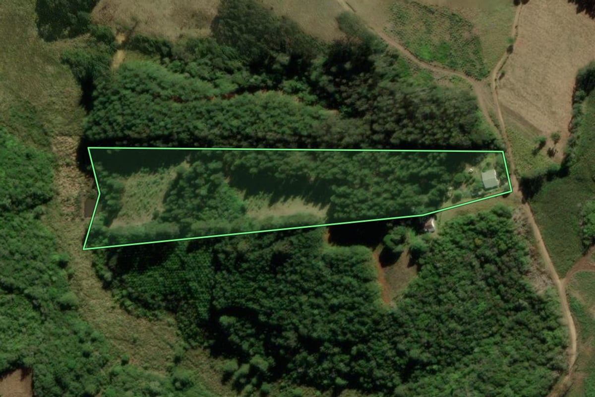 Imagem de satélite do imóvel rural em Tijucas do Sul (PR), com o contorno declarado no CAR desenhado por cima.