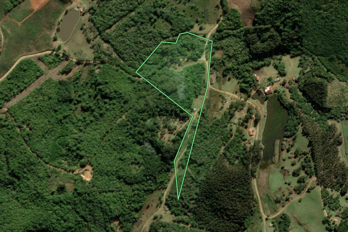 Imagem de satélite do imóvel rural em Tijucas do Sul (PR), com o contorno declarado no CAR desenhado por cima.