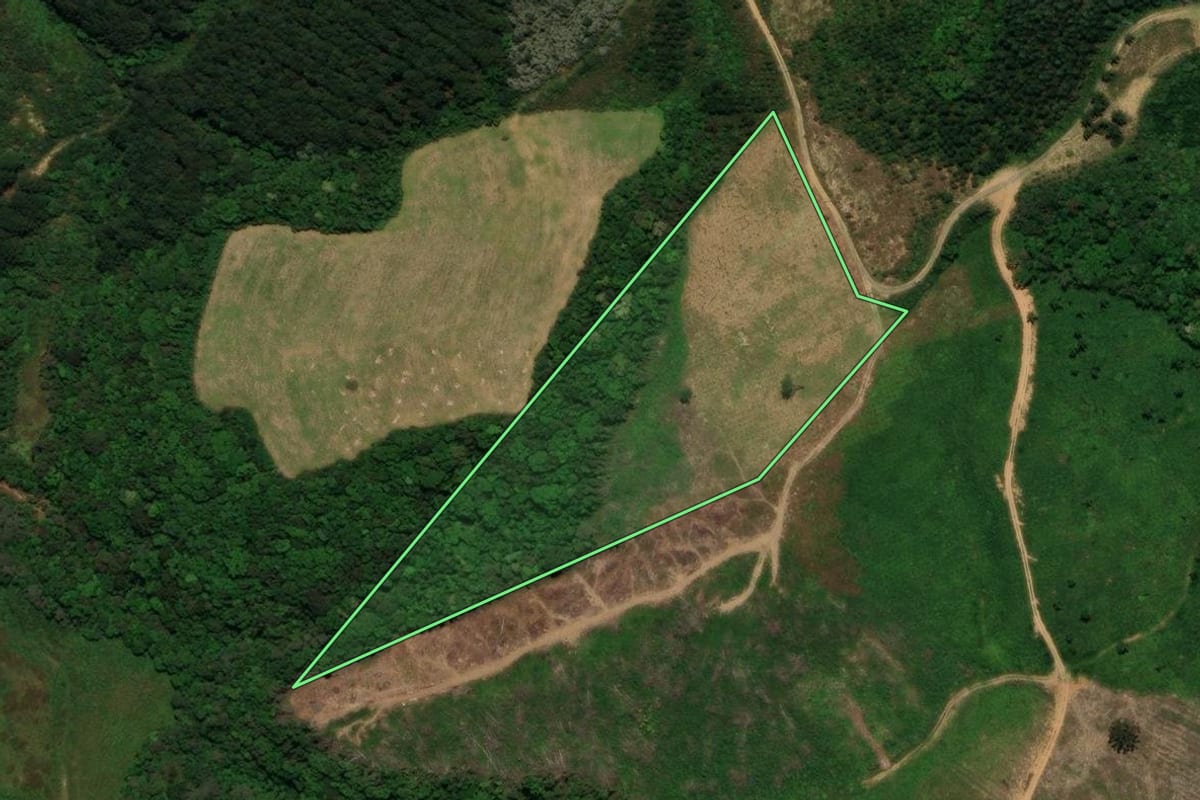 Imagem de satélite do imóvel rural em Tijucas do Sul (PR), com o contorno declarado no CAR desenhado por cima.