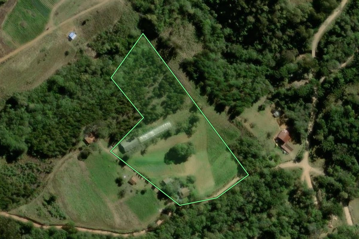 Imagem de satélite do imóvel rural em Tijucas do Sul (PR), com o contorno declarado no CAR desenhado por cima.