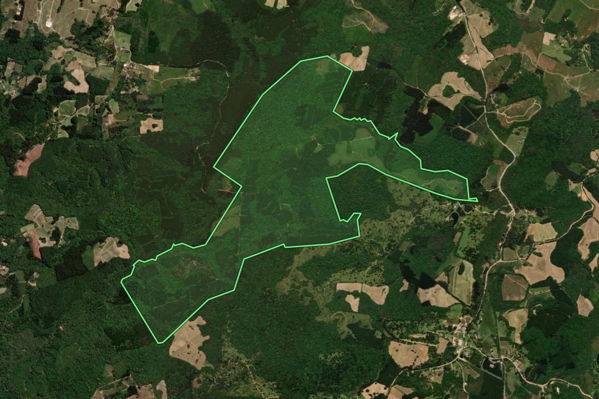 Imagem de satélite do imóvel rural em Tijucas do Sul (PR), com o contorno declarado no CAR desenhado por cima.