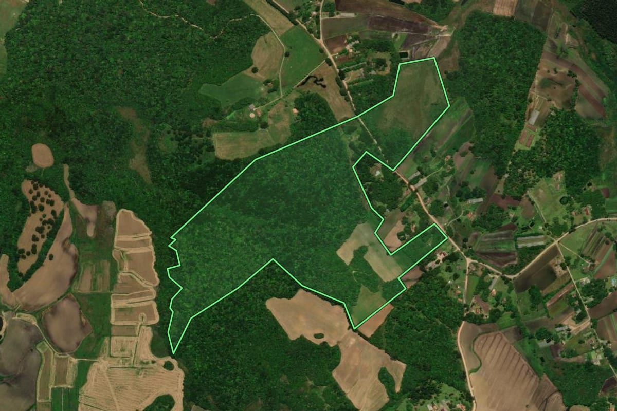 Imagem de satélite do imóvel rural em Tijucas do Sul (PR), com o contorno declarado no CAR desenhado por cima.
