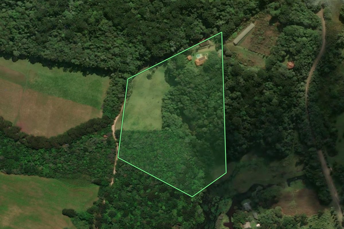Imagem de satélite do imóvel rural em Tijucas do Sul (PR), com o contorno declarado no CAR desenhado por cima.