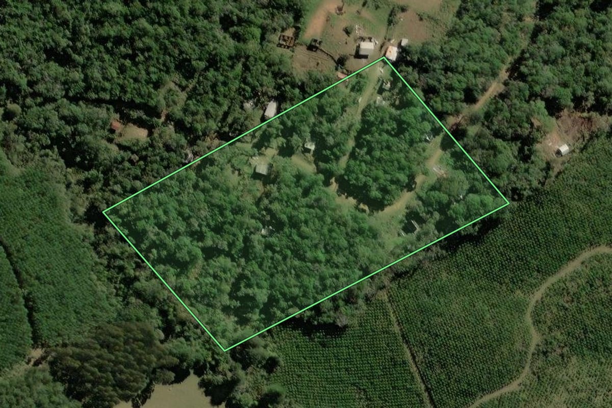 Imagem de satélite do imóvel rural em Tijucas do Sul (PR), com o contorno declarado no CAR desenhado por cima.