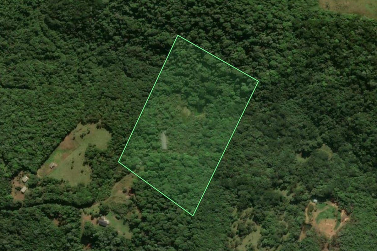 Imagem de satélite do imóvel rural em Tijucas do Sul (PR), com o contorno declarado no CAR desenhado por cima.