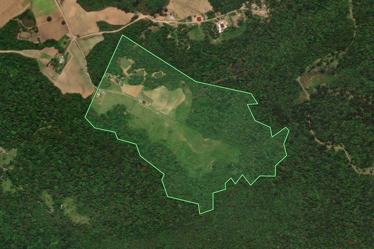 Imagem de satélite do imóvel rural em Tijucas do Sul (PR), com o contorno declarado no CAR desenhado por cima.