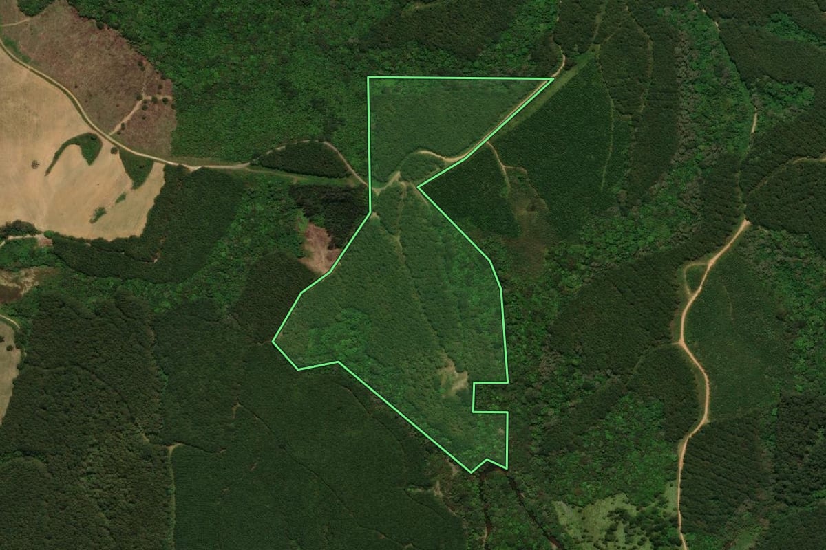 Imagem de satélite do imóvel rural em Tijucas do Sul (PR), com o contorno declarado no CAR desenhado por cima.