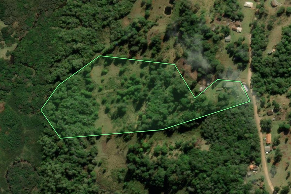 Imagem de satélite do imóvel rural em Tijucas do Sul (PR), com o contorno declarado no CAR desenhado por cima.
