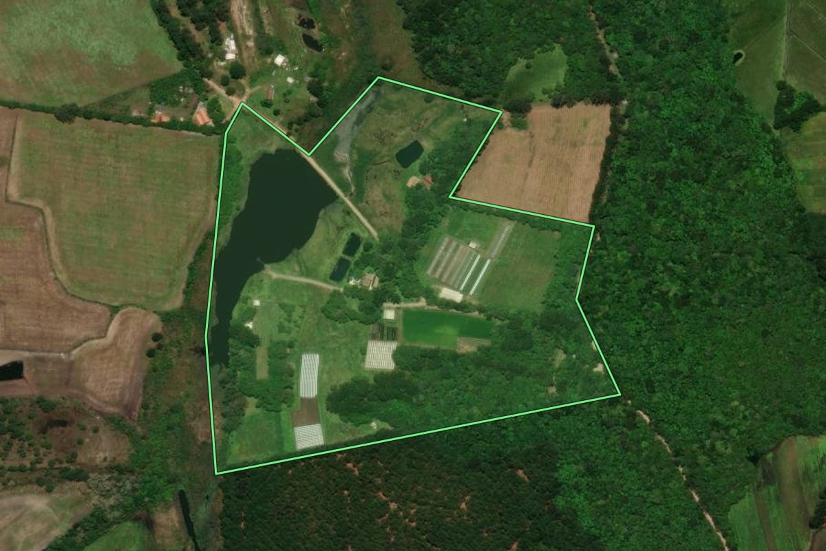 Imagem de satélite do imóvel rural em Tijucas do Sul (PR), com o contorno declarado no CAR desenhado por cima.