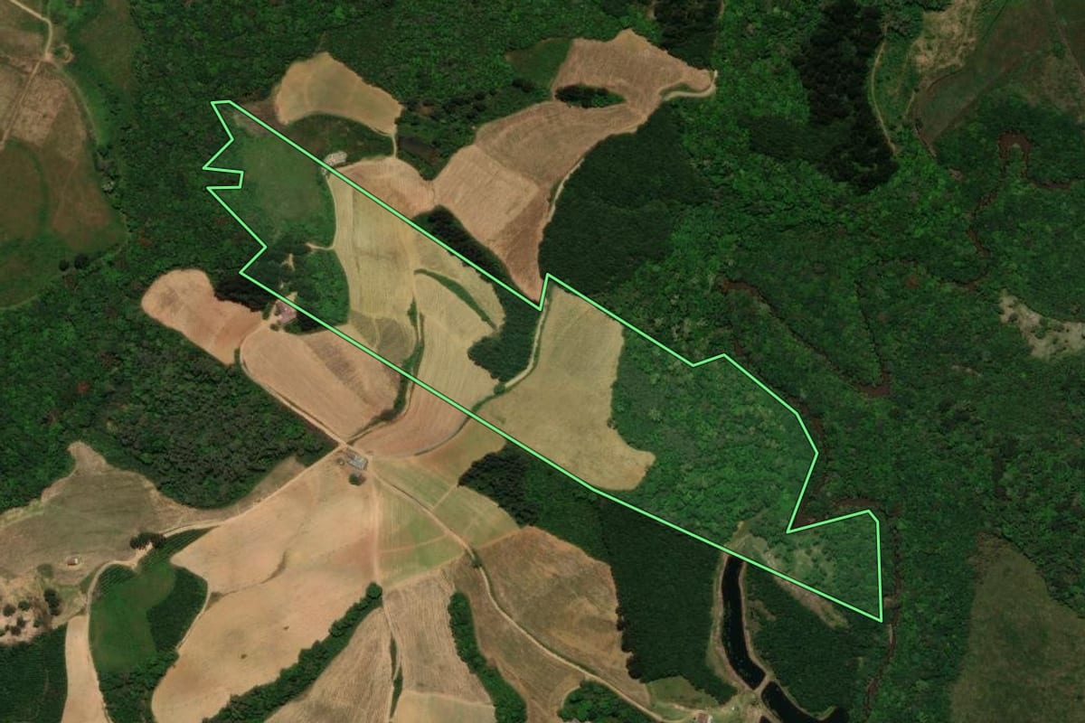 Imagem de satélite do imóvel rural em Tijucas do Sul (PR), com o contorno declarado no CAR desenhado por cima.