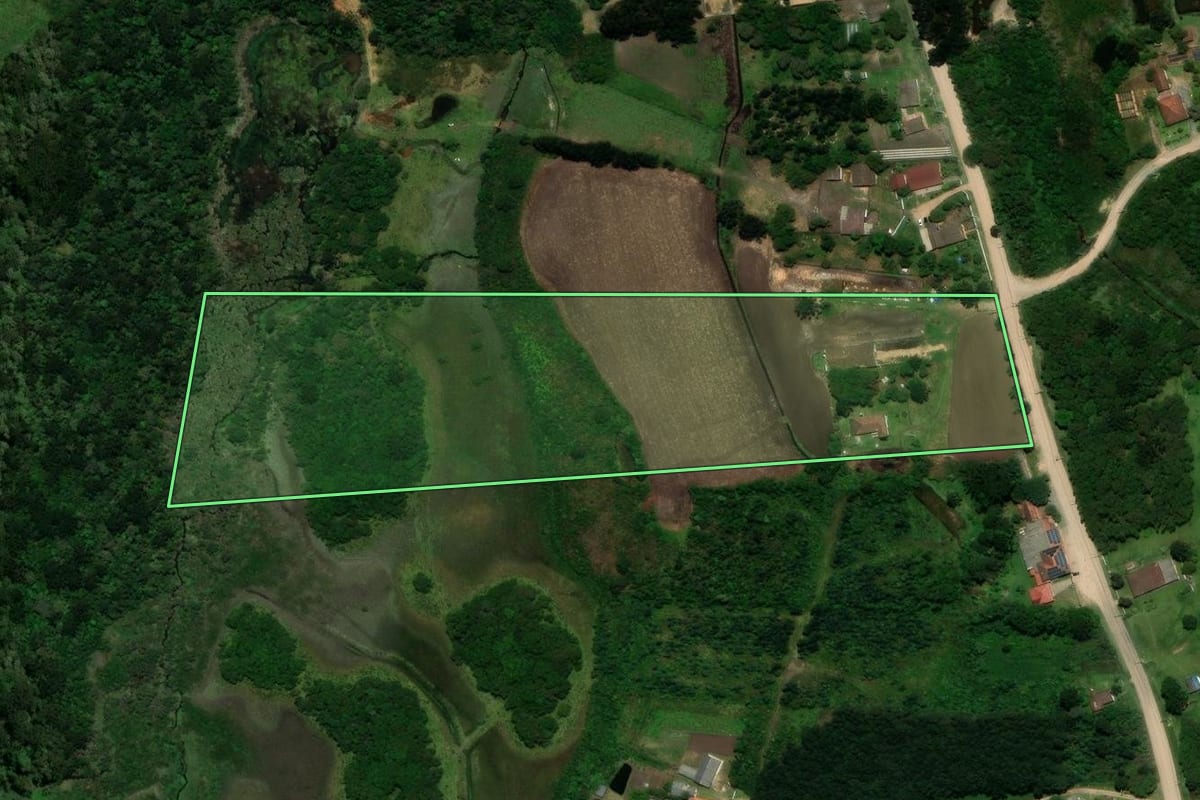 Imagem de satélite do imóvel rural em Tijucas do Sul (PR), com o contorno declarado no CAR desenhado por cima.