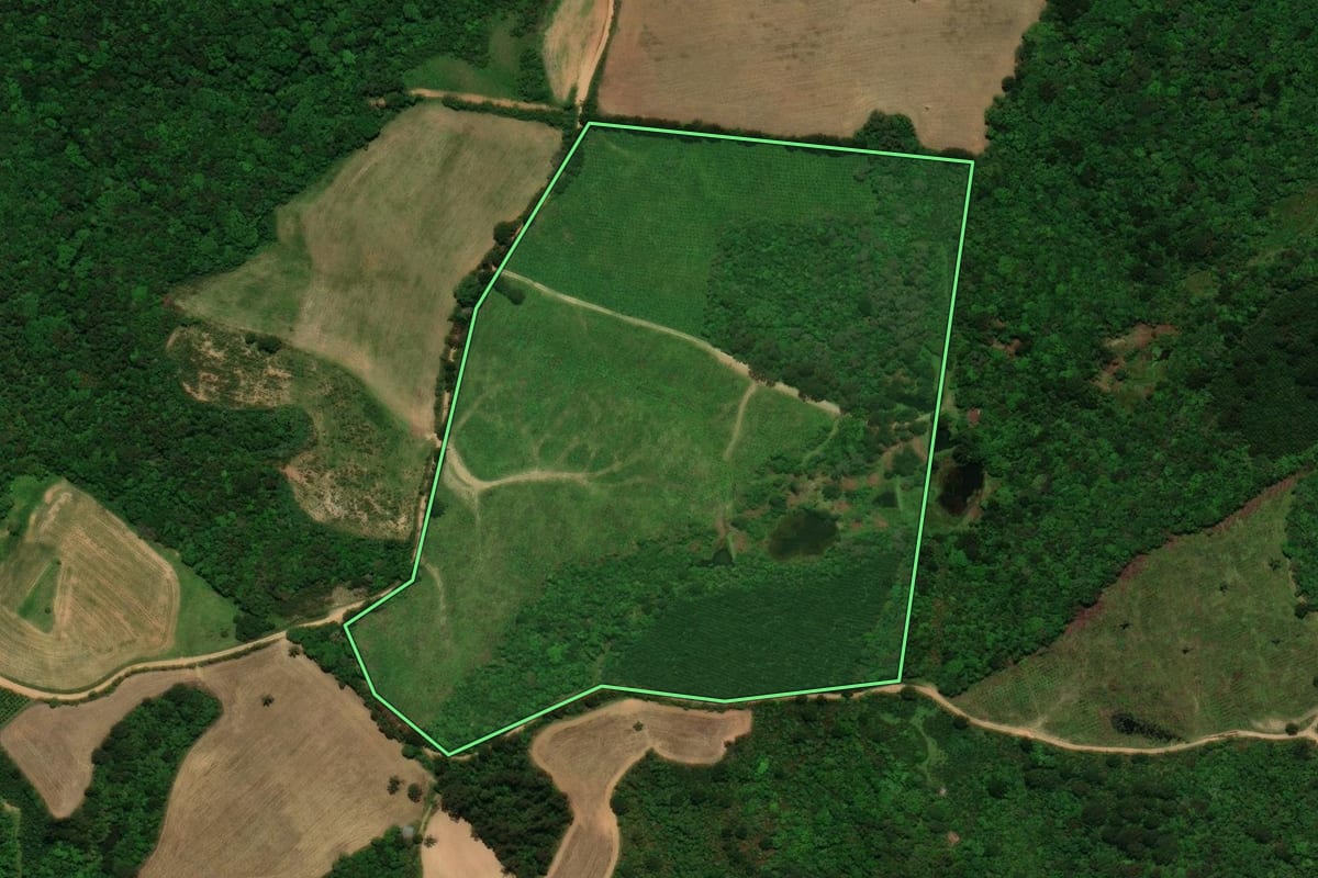 Imagem de satélite do imóvel rural em Tijucas do Sul (PR), com o contorno declarado no CAR desenhado por cima.