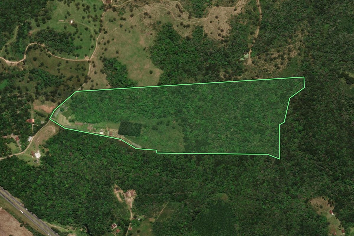 Imagem de satélite do imóvel rural em Tijucas do Sul (PR), com o contorno declarado no CAR desenhado por cima.