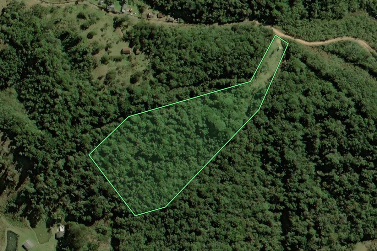 Imagem de satélite do imóvel rural em Tijucas do Sul (PR), com o contorno declarado no CAR desenhado por cima.
