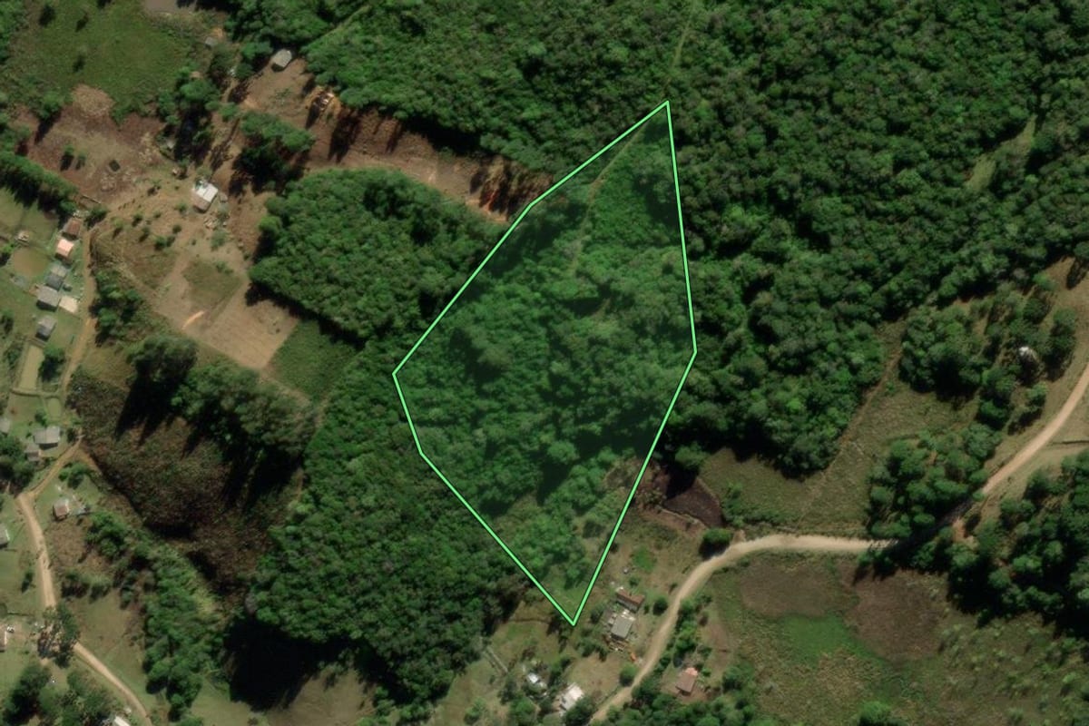 Imagem de satélite do imóvel rural em Tijucas do Sul (PR), com o contorno declarado no CAR desenhado por cima.