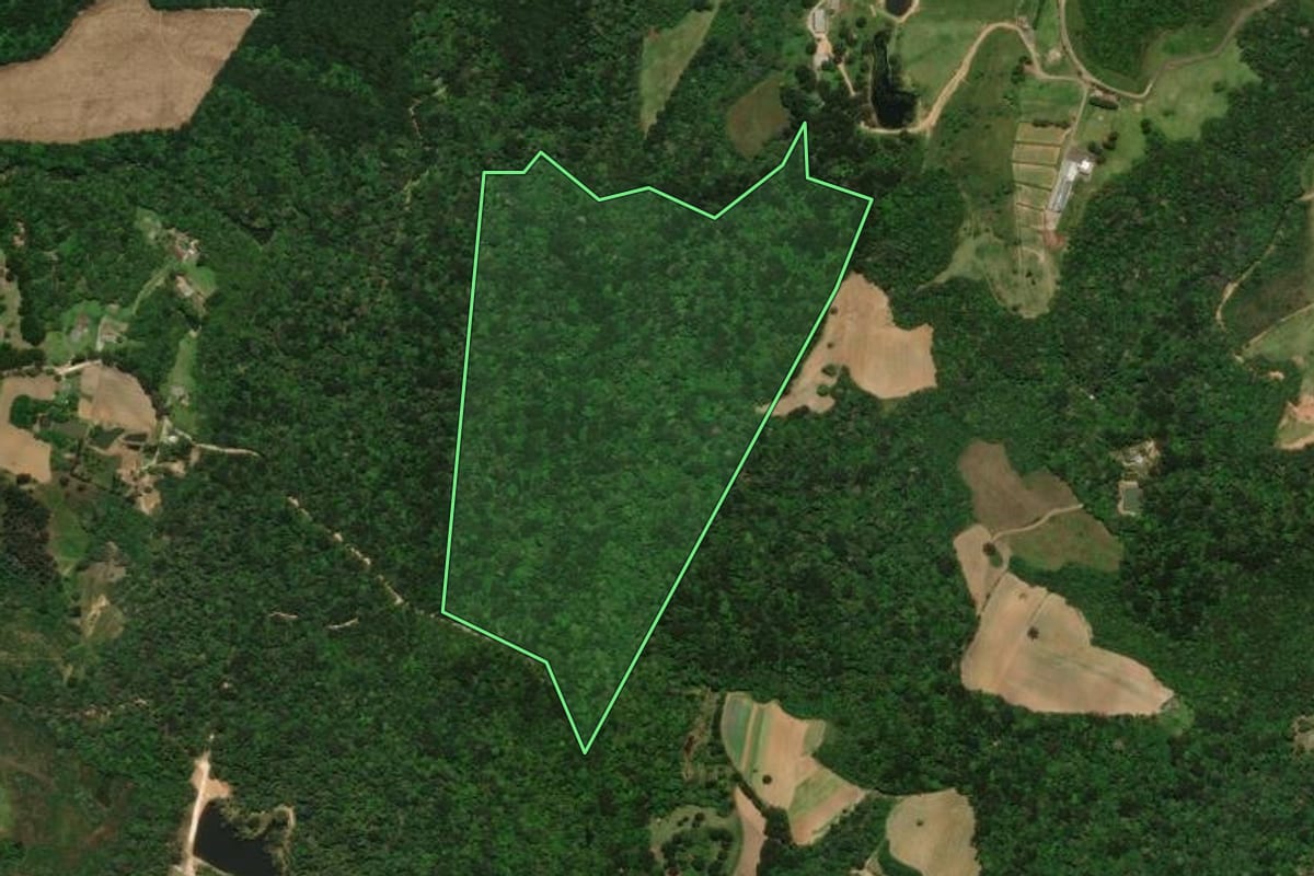 Imagem de satélite do imóvel rural em Tijucas do Sul (PR), com o contorno declarado no CAR desenhado por cima.