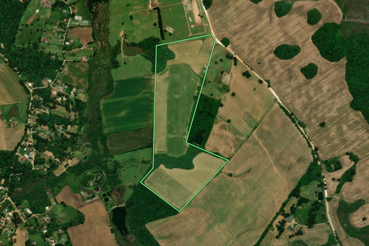 Imagem de satélite do imóvel rural em Tijucas do Sul (PR), com o contorno declarado no CAR desenhado por cima.