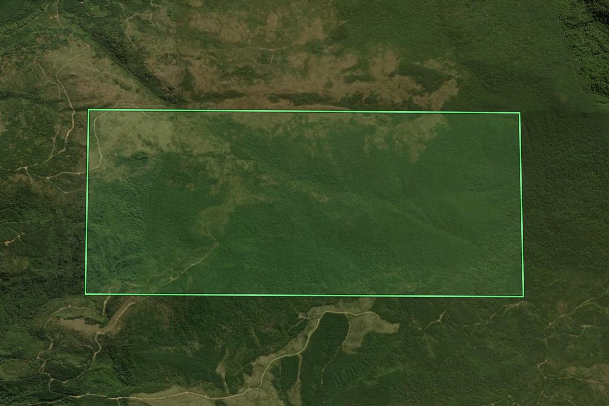 Imagem de satélite do imóvel rural em Tijucas do Sul (PR), com o contorno declarado no CAR desenhado por cima.