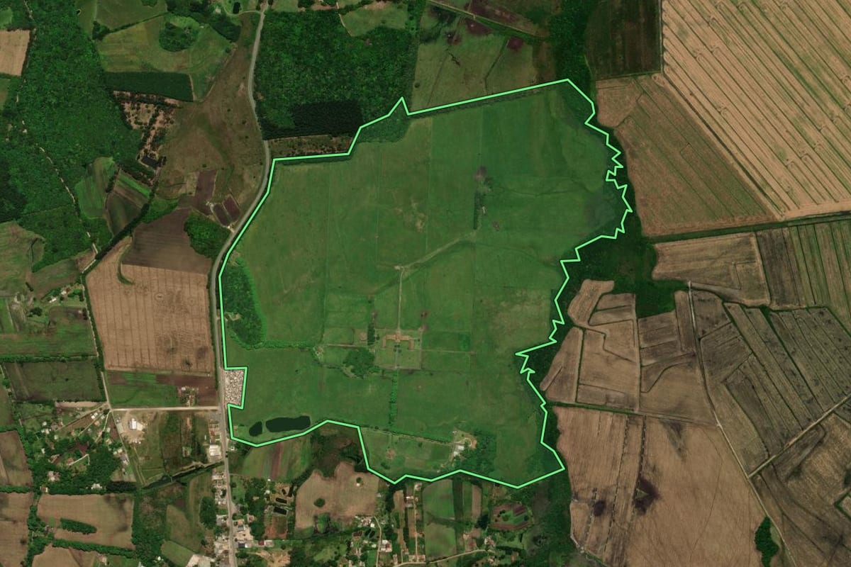Imagem de satélite do imóvel rural em Tijucas do Sul (PR), com o contorno declarado no CAR desenhado por cima.