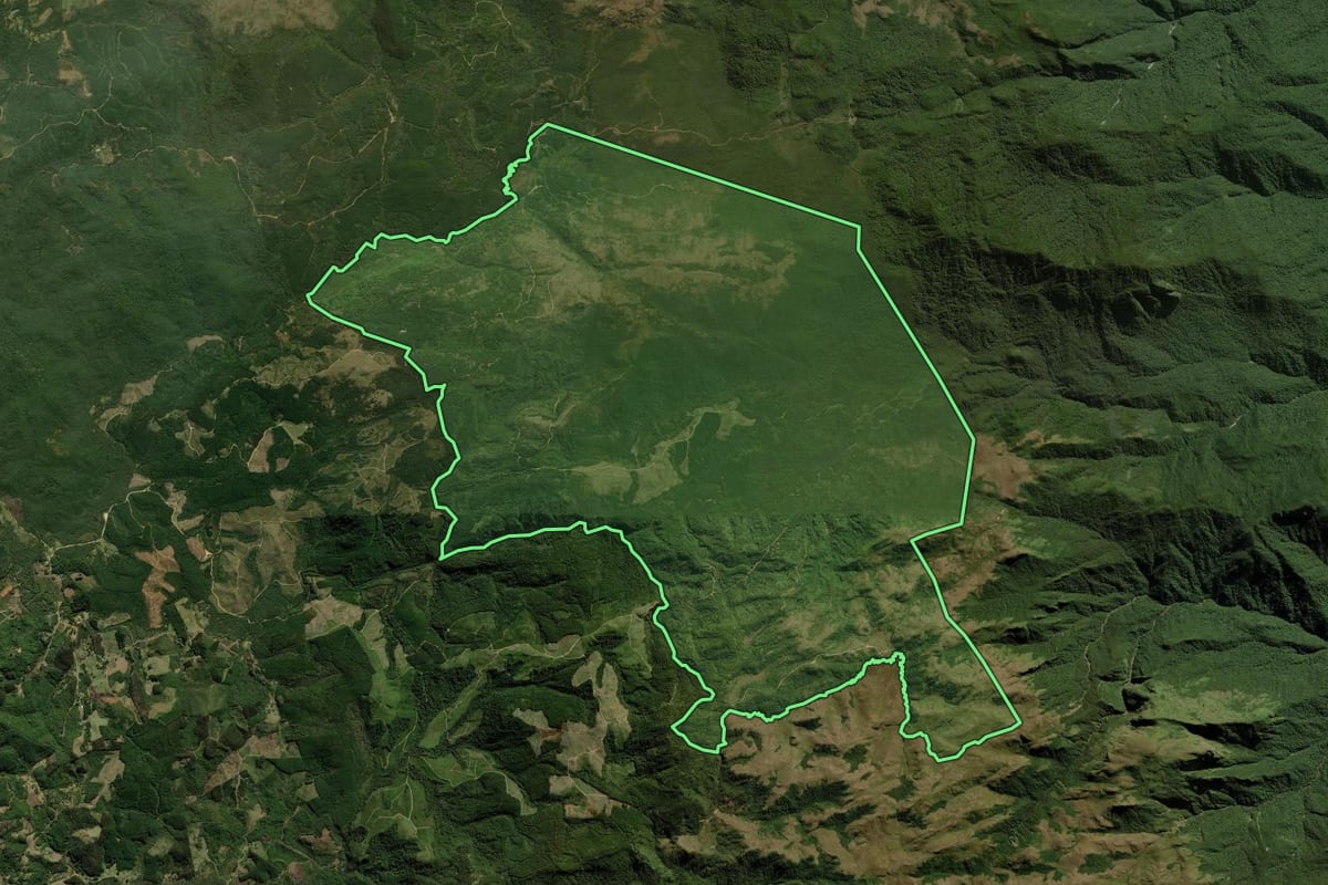 Imagem de satélite do imóvel rural em Tijucas do Sul (PR), com o contorno declarado no CAR desenhado por cima.
